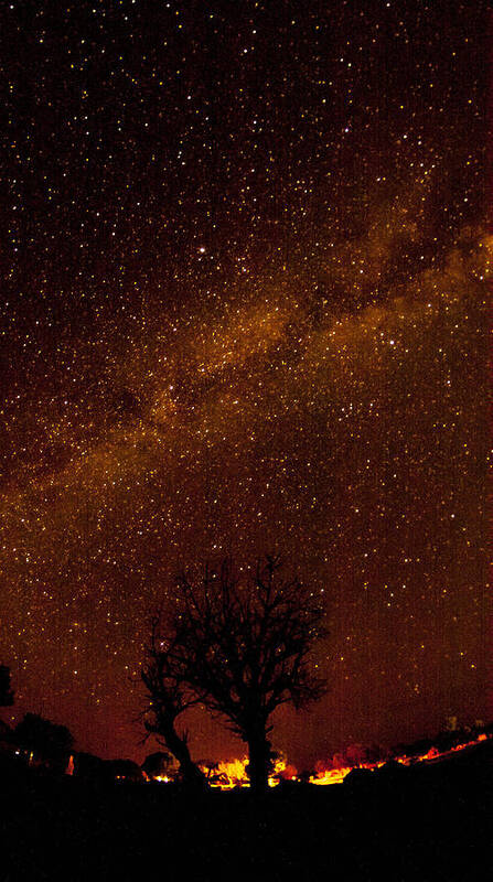 Tree Art Print featuring the photograph Milky Way Tree by Kathleen McGinley