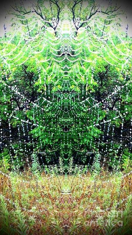 Spider Web Art Print featuring the photograph Spider Web 1 by Karen Newell