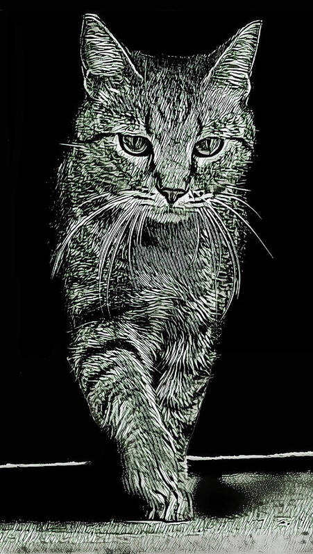 Cat Art Print featuring the digital art Cat Walk #1 by David G Paul