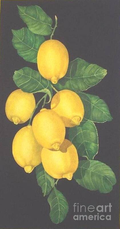 Still Life Art Print featuring the painting Lemon Mandarine Suite #1 by Janet Summers-Tembeli