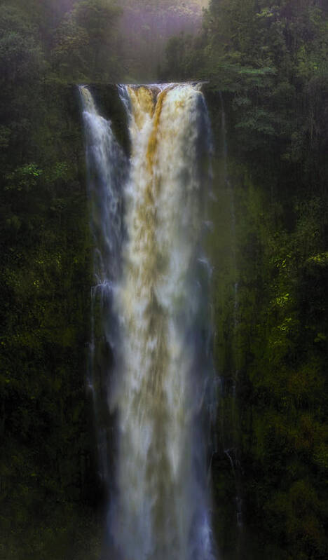 Ellen Heaverlo Art Print featuring the photograph Akaka Falls by Ellen Heaverlo
