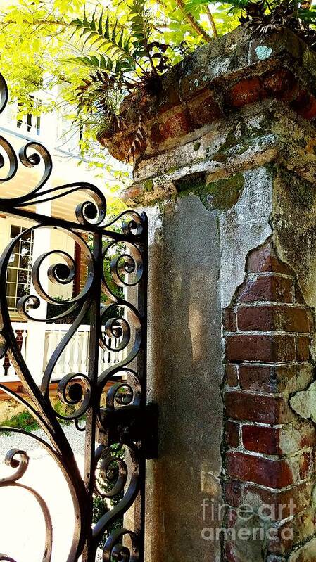 Wrought Iron Art Print featuring the photograph Charleston Gate by Amy Regenbogen
