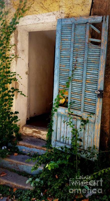 Door Art Print featuring the photograph Finding The Beauty by Lainie Wrightson
