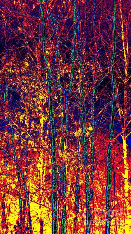 Trendy Landscape Art Print featuring the photograph Fire In The Trees by Becky Kurth
