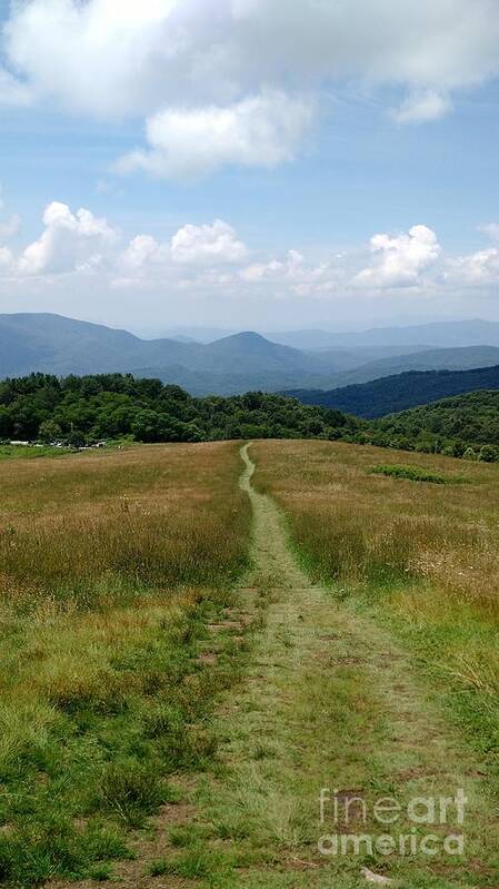 Landscape Art Print featuring the photograph Max Patch Trail Summer by Anita Adams