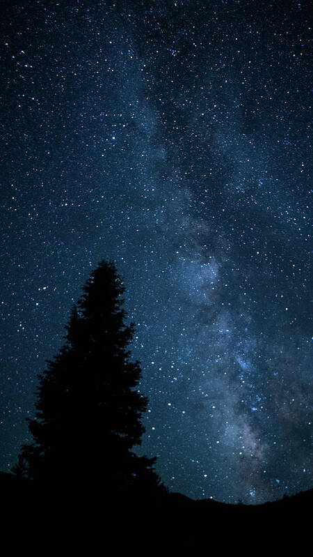 Nevada Art Print featuring the photograph Milky Way Pine Great Basin National Park Nevada by Lawrence S Richardson Jr