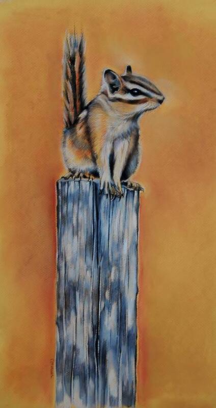 Chipmunk Art Print featuring the drawing On the Fence by Jean Cormier