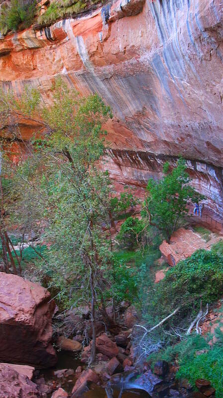 Nature Art Print featuring the photograph Serenity in Zion by Bethany Diaz