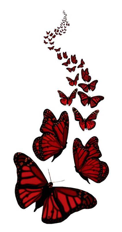 Red Art Print featuring the digital art Trail of the Red Butterflies Transparent Background by Barbara St Jean