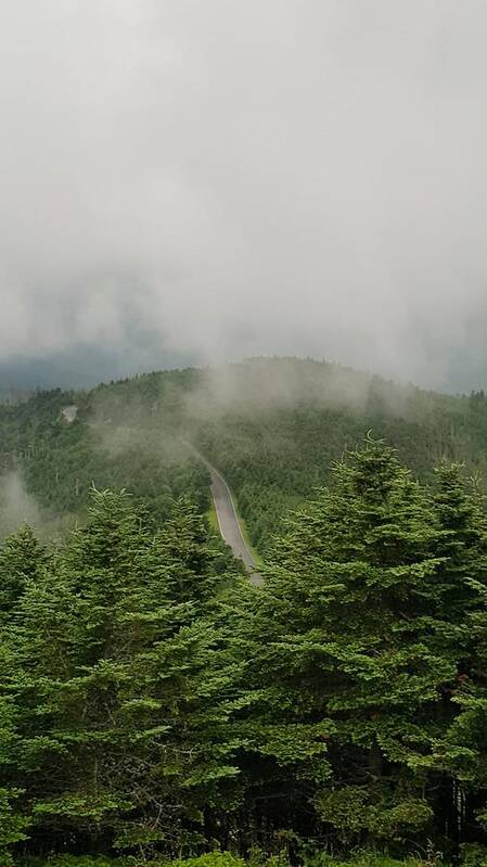 Mount Mitchell Art Print featuring the photograph View from Mount Mitchell by William Slider