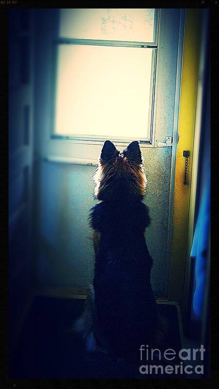 Dog Art Print featuring the photograph Waiting For Her Walk by Frank J Casella
