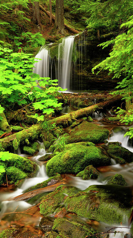 Idaho Scenics Art Print featuring the photograph Fern Falls Panoramic by Leland D Howard