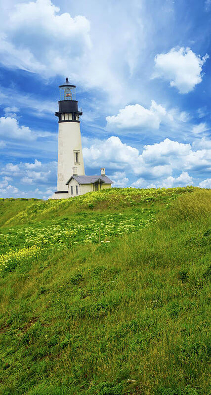 Lighthouse Art Print featuring the photograph Lighthouse on Yaquina Head by Steve Estvanik