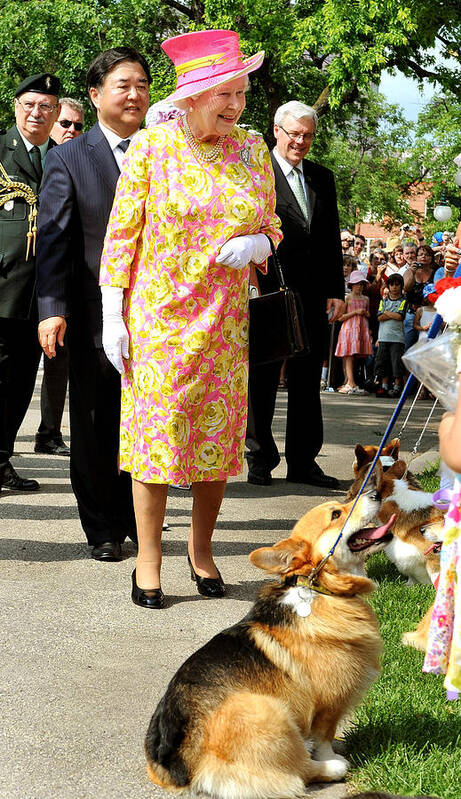 Pets Art Print featuring the photograph Queen Elizabeth II Visits Canada - Day 6 by WPA Pool