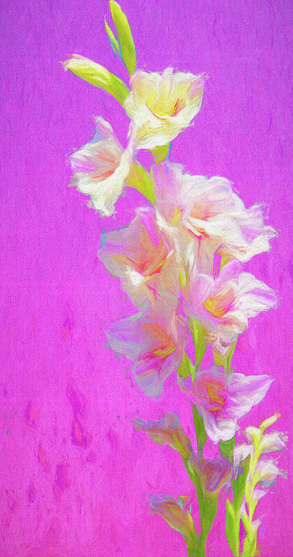 Flowers Art Print featuring the digital art Gladiolas Painted 2 by Cathy Anderson