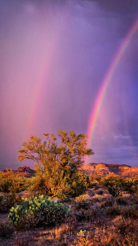 Arizona Art Print featuring the photograph Purple Skies And Rainbows by Saija Lehtonen