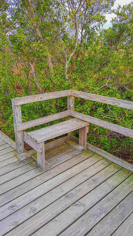 Bench Art Print featuring the photograph Sit and Enjoy the Beauty of the Wetlands by Ola Allen