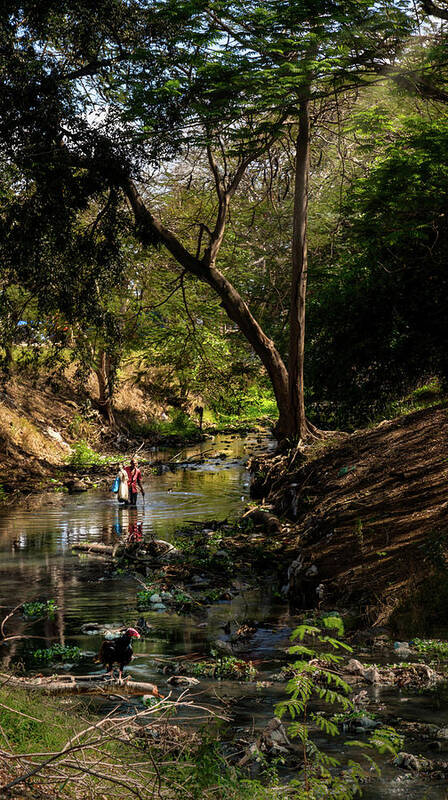 Wading Art Print featuring the photograph Wading the Jatibonico river by Micah Offman