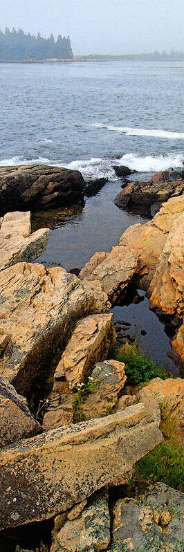 Landscape Art Print featuring the photograph Scoodic Tidepool by Peter Muzyka