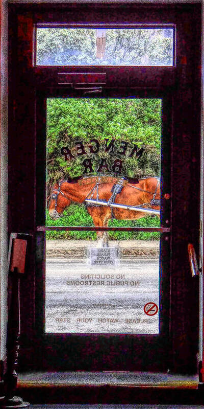 San Antonio Art Print featuring the photograph Horse Door by Tom DiFrancesca