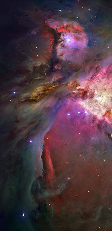 Messier 42 Art Print featuring the photograph Secrets Of Orion II by Ricky Barnard