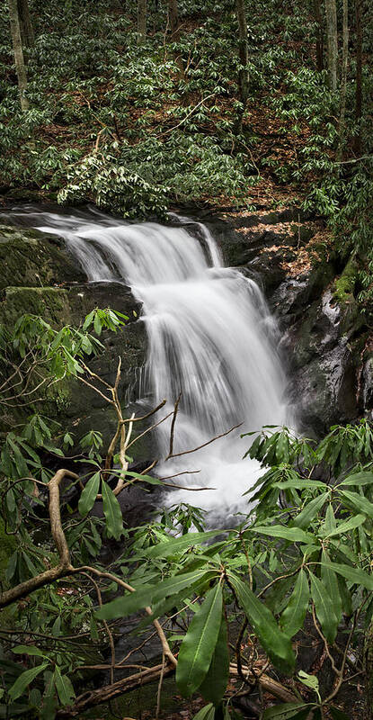 Appalachia Art Print featuring the photograph Waterfall Panorama by Debra and Dave Vanderlaan