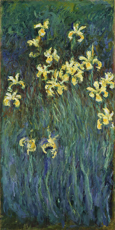 Claude Monet Art Print featuring the painting Yellow Irises #3 by Claude Monet