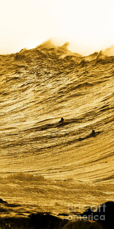 Huge Surf Art Print featuring the photograph Gold Nugget - part 1 of 3 by Sean Davey
