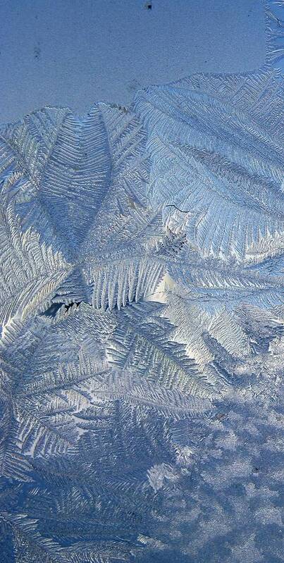 Ice Art Print featuring the photograph Ice Crystals by Rhonda Barrett