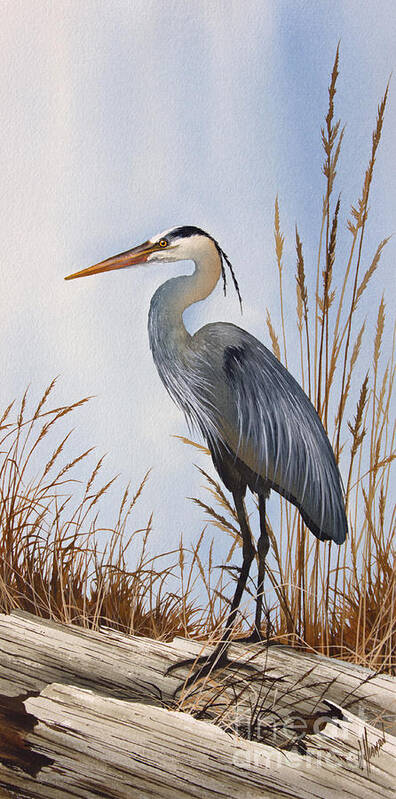 Heron Art Print featuring the painting Nature's Gentle Beauty by James Williamson