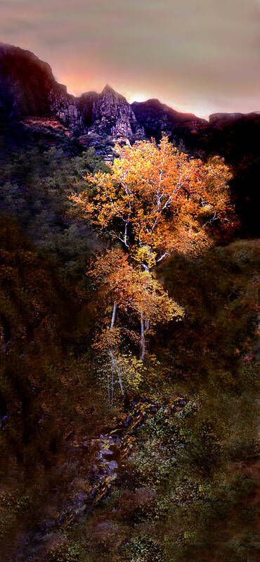 Oak Creek Canyon. Sedona . Flagstaff Art Print featuring the photograph Oak Creek Canyon by Joe Hoover