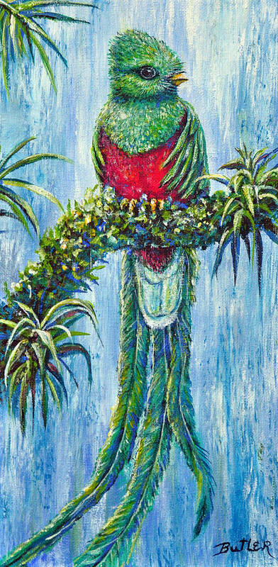 Nature Bird Quetzal Rainforest Art Print featuring the painting Quetzal by Gail Butler