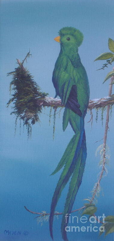 Birds Art Print featuring the painting Quetzal by Michael Allen