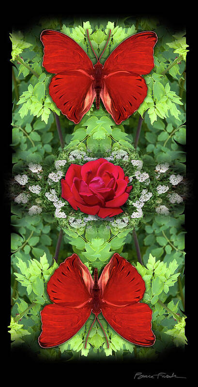 Botanical Art Print featuring the photograph Scarlet Rose by Bruce Frank