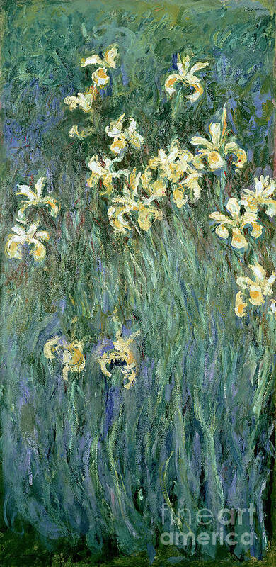 The Art Print featuring the painting The Yellow Irises by Claude Monet