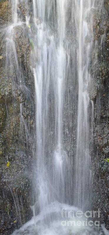 Waterfall Art Print featuring the photograph Waterfall by Nora Boghossian