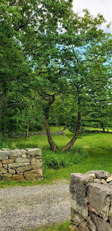 Weir Farms Art Print featuring the photograph Weir Farm Stone Walls by Rob Hans