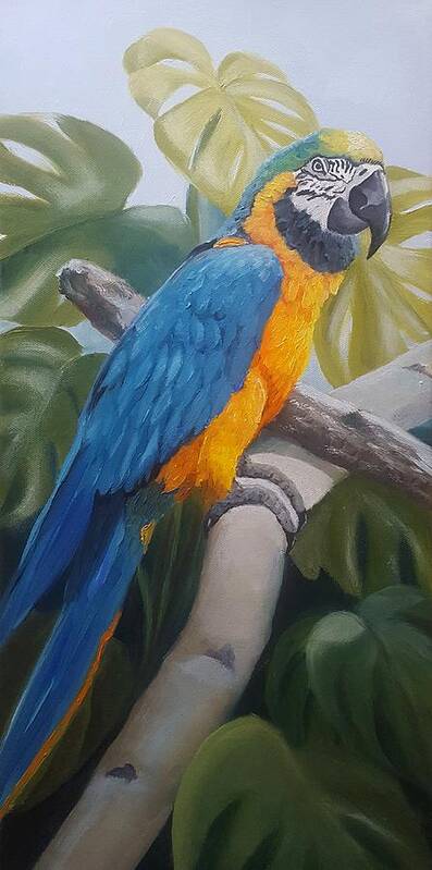 Blue And Gold Macaw Art Print featuring the painting Blue and Gold Macaw by Connie Rish