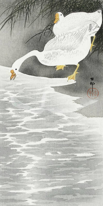 Birds Art Print featuring the painting Geese on the shore by Ohara Koson