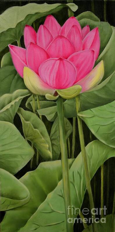 Lotus Art Print featuring the painting Pink Lotus And Leaves by Mary Deal