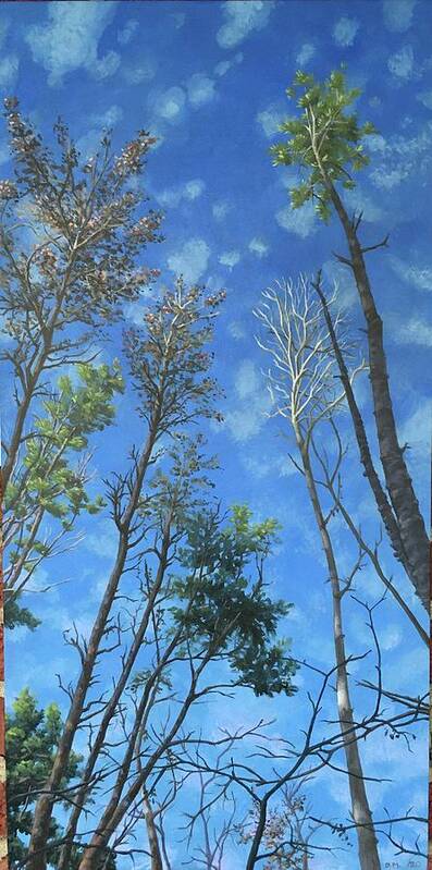 Trees Art Print featuring the painting The Heights by Don Morgan