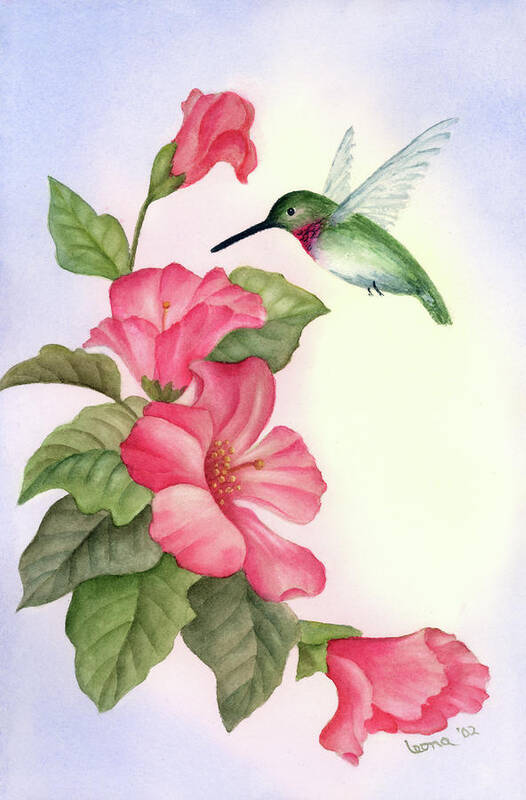 Hummingbird With Hibiscus Art Print by Leona Jones