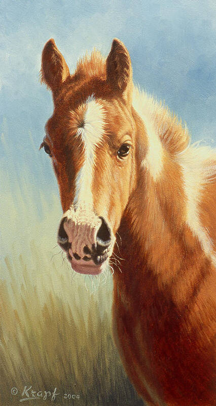 Foal Art Print featuring the painting Foal Portrait by Paul Krapf