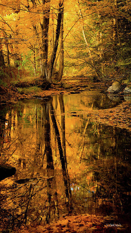 Landscape Art Print featuring the photograph Autumn Reflections #1 by Jim Carlen