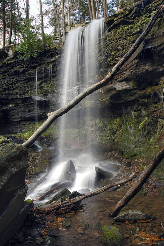 Autumn Art Print featuring the photograph Jocaby Falls Behind The Fallen Trees by Gene Walls