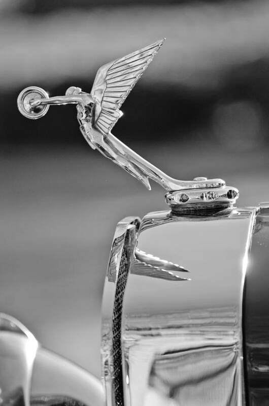 1927 Isotta-fraschini Tipo 8a Boat-tail Tourer Hood Ornament Art Print featuring the photograph 1927 Isotta-Fraschini Tipo 8A Boat-Tail Tourer Hood Ornament by Jill Reger
