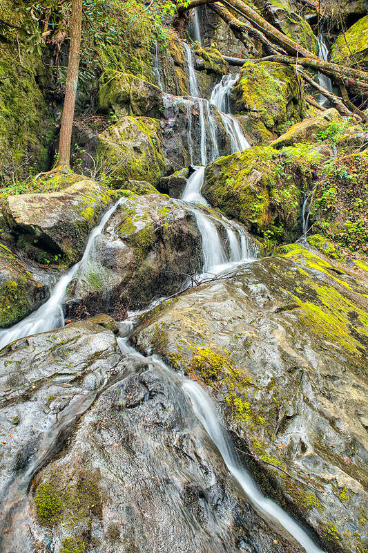 Gatlinburg Art Print featuring the photograph After the Rain #1 by Victor Culpepper