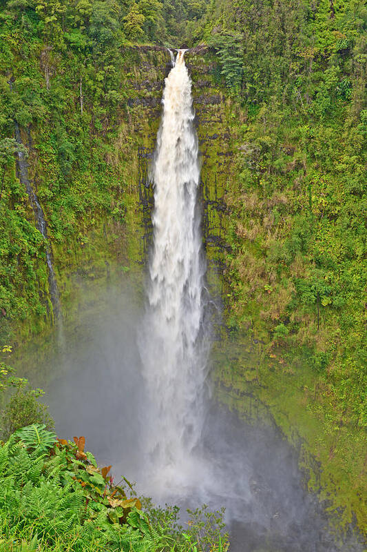 Waterfall Art Print featuring the photograph Akaka Falls Big Island Hawaii #1 by Marek Poplawski
