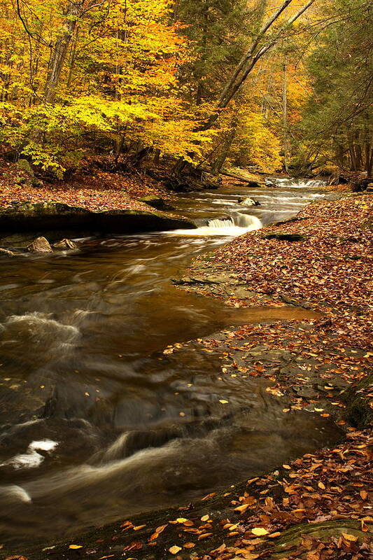 Landscape Art Print featuring the photograph Autumn and Creek #1 by Amanda Kiplinger