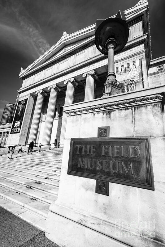 America Art Print featuring the photograph Black and White Chicago Field Museum #1 by Paul Velgos